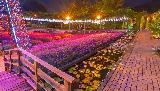 ꡼ No.005 | ֥եפξ߹ؽޥåסȤեѡɤߤΥߥ͡˥˥塼