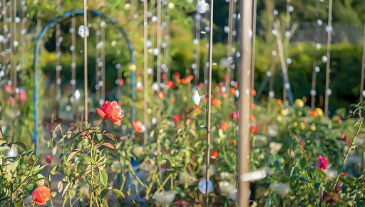 ꡼ No.006 | ֥եפξ߹ؽޥåסȤեѡɤߤΥߥ͡˥˥塼