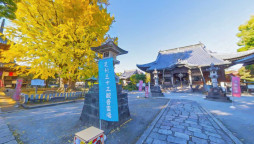 ꡼ No.001 | ֥եס٥ȡ­ǰɹؽ»ܡ񸷤ɤ򸫳ؤǤ