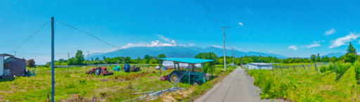 ꡼ No.014 | ֥եס緿ιԥ٥ȡ2022ǯ´ιԡɤ»