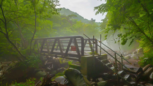 ꡼ No.015 | ֥եס緿ιԥ٥ȡ2022ǯ´ιԡɤ»