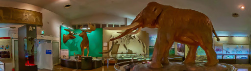 ꡼ No.033 | ֥եס緿ιԥ٥ȡ2022ǯ´ιԡɤ»