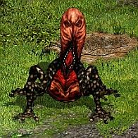 ꡼ No.003Υͥ / ֥ʥ륷ƥ 2ץϥ󥤥٥Ȥšѿȥե奢ǲ褦