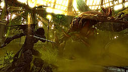 ꡼ No.004 | MMORPGRaider Zסȡ֥פԲʥץ쥤ǧǤǿࡼӡ