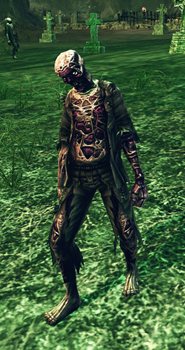 ꡼ No.014 | RaiderZץʷϵʬ륹꡼󥷥åȤ䥳󥻥ץȥȤ