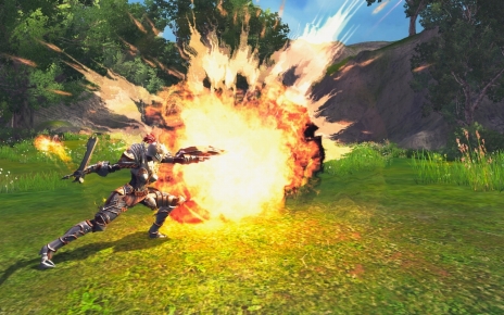 画像ギャラリー No.016のサムネイル画像 / 「RaiderZ」,クローズドβテストで遊べる内容が公開。CBT直前ニコニコ生放送も