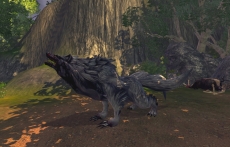 画像ギャラリー No.021のサムネイル画像 / 「RaiderZ」,クローズドβテストで遊べる内容が公開。CBT直前ニコニコ生放送も