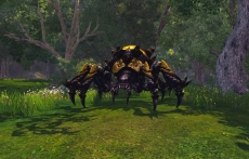 画像ギャラリー No.022のサムネイル画像 / 「RaiderZ」,クローズドβテストで遊べる内容が公開。CBT直前ニコニコ生放送も