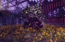 ���������꡼ No.025�Υ���ͥ������ / ��RaiderZ�ס����������ɦ¥ƥ��Ȥ�ͷ�٤����Ƥ�������CBTľ���˥��˥���������