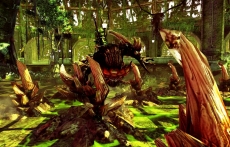 ���������꡼ No.026�Υ���ͥ������ / ��RaiderZ�ס����������ɦ¥ƥ��Ȥ�ͷ�٤����Ƥ�������CBTľ���˥��˥���������