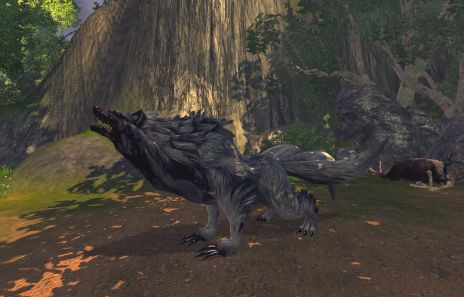 ꡼ No.005Υͥ / RaiderZסɦ¥ƥȤ17˥ȡRazerʤRaiderZʥꥸʥ륰åTwitterڡⳫ