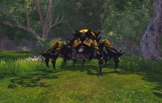 ꡼ No.006Υͥ / RaiderZסɦ¥ƥȤ17˥ȡRazerʤRaiderZʥꥸʥ륰åTwitterڡⳫ