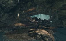 ꡼ No.010Υͥ / RaiderZס1700ꥪץ¥ƥȤĤ˥ȡCBTΥåץǡƤץ쥤˳ǧ褦