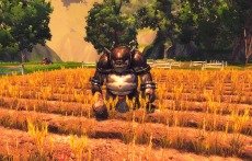 ꡼ No.026 | RaiderZס緿åץǡȡ2nd Wave vol 3פƥĤȤPvP֥رPvPפPvE֥ϥɥɥåפо