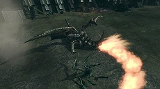 ꡼ No.004 | RaiderZס55Ρ֥йפ俷ԥå󥹥ʤɤ