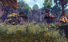 ꡼ No.006Υͥ / RaiderZס٥륭åפ40ޤǳ󥸥ȿޥåפ2ɲä緿åץǡȡ3rd Waveפ