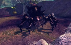 ꡼ No.048Υͥ / RaiderZפåץǡȡɲäȥĴ»ܡPvPƥġֹ¤פ