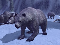 ꡼ No.006 | RaiderZפ˥󥹥󥹥󥸥֥Ρɡפָо