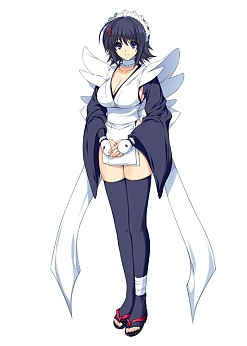 ꡼ No.028 | PSPѥեȡNEOGEO HEROES Ultimate Shootingפ729ȯ䡣10̾Υ饯ãĶƽ