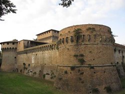 ꡼ No.004 | ֥ ꡼ ֥饶եåɡ׽ŵDVDˤϺʤҲ𤹤˥ɥ󥿥꡼ʤ