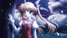 ꡼ No.013 | ȸϤʤɤΩơD.C.III P.S.P.  III ץ饹奨 ݡ֥פ2010ǯ1028ȯ