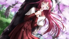 ꡼ No.014 | ȸϤʤɤΩơD.C.III P.S.P.  III ץ饹奨 ݡ֥פ2010ǯ1028ȯ