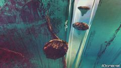 ꡼ No.067 | ǥåΤ褦äΥեåħŪ3DEl Shaddai ASCENSION OF THE METATRONפ2010ǯȯ