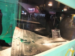 ꡼ No.004 | TGS 2010ϡEl Shaddai ASCENSION OF THE METATRONץץ쥤ݡȡäѤȥ饯ܤڥ󥲡