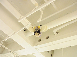 ꡼ No.015 | 륷οץȤʹ椫ݰºµθŸݰºµŸELۡ׽ݡȡݰ»ߥ˥󥿥ӥ塼