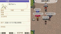 ꡼ No.030 | ֥ɡͥСɡʥ벦ʪפȯ2010ǯ1118ȥʥ벦ɤǤμͳ褬ڤϤ⤦ 