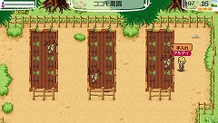 ꡼ No.039 | ֥ɡͥСɡʥ벦ʪפȯ2010ǯ1118ȥʥ벦ɤǤμͳ褬ڤϤ⤦ 