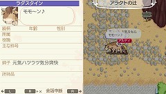 ꡼ No.042 | ֥ɡͥСɡʥ벦ʪפȯ2010ǯ1118ȥʥ벦ɤǤμͳ褬ڤϤ⤦ 