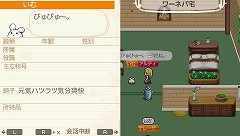 ꡼ No.043 | ֥ɡͥСɡʥ벦ʪפȯ2010ǯ1118ȥʥ벦ɤǤμͳ褬ڤϤ⤦ 