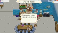 ꡼ No.010Υͥ / ƥ֥ɡͥСɡʥ벦ʪפ˿ǽɲäХĴܤѥåǤۿȯɽ