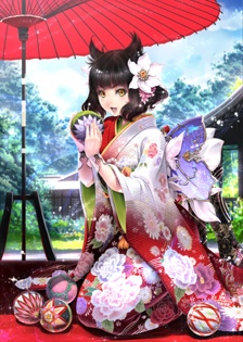 #007Υͥ/IXAס»ܤΥåץǡȤǥ쥢١ȶˡɤΡͳ۰Կסְľסֲ˼פʤɷ11Υɤɲ