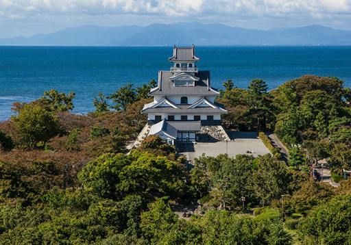 ꡼ No.004 | IXAסȤ椫Ĺ;롤̾롤ĸȤΥܥ졼󤬥