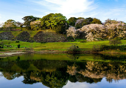 ꡼ No.005 | IXAסȤ椫Ĺ;롤̾롤ĸȤΥܥ졼󤬥