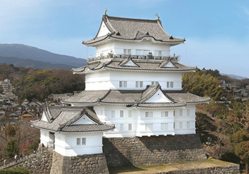 ꡼ No.006 | IXAסȤ椫Ĺ;롤̾롤ĸȤΥܥ졼󤬥