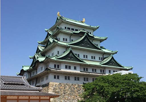 ꡼ No.006 | IXAס֤륳20222ƤȡϤ̾ǡIXA ܸ԰פȯ