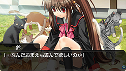 ꡼ No.005Υͥ / ץȥסPSPɥ٥㡼֥ȥХConverted Editionפȯ1125˷