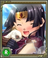 画像集#003のサムネイル/「Web 恋姫†夢想」の朱雀,白虎サーバーで10thシーズンがスタート