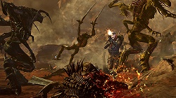 ꡼ No.013Υͥ / TGS 2010Υޥ˥ʤץåTHQοȥץ쥼ơݡ