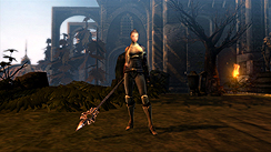 ꡼ No.017 | ˥åסΥ꡼ǿ֥󥸥  3פ2011ǯ728ȯ䡣Ȥơγפо쥭饯