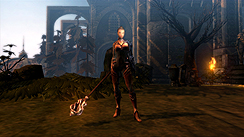 ꡼ No.019 | ˥åסΥ꡼ǿ֥󥸥  3פ2011ǯ728ȯ䡣Ȥơγפо쥭饯