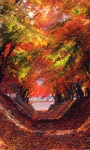 ꡼ No.003Υͥ / Mr.CEO׹ռꥤ٥Ȥ򳫺šֹաפ˱ŵ