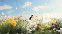 ꡼ No.003Υͥ / ůκǿChild of Edenפȯ䡣Lumiɤե㡼եܤåȥ쥤顼