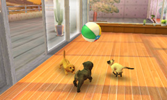 ꡼ No.002 | ȥסɥ뤫Ƹǽ˻ҸϤɤˤ롩nintendogs  catsפθȤ3Υѥåܺ٤餫
