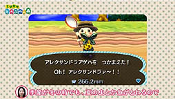 ꡼ No.058 | ȤDJˡߤ̿Ǥξܺ٤줿֤ȤӤ ɤ֤Ĥο DirectפƤ򤪤餤