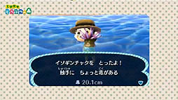 ꡼ No.060 | ȤDJˡߤ̿Ǥξܺ٤줿֤ȤӤ ɤ֤Ĥο DirectפƤ򤪤餤