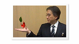 ꡼ No.013Υͥ / 3DSWii UǻĹζͭǽˡ֤äNintendo Direct Wii U/˥ƥɡ3DS ɥե 2013.11.14פۿ